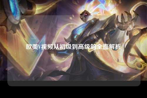 欧美V视频从初级到高级的全面解析