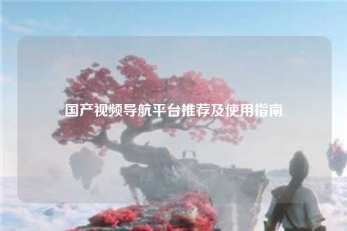 国产视频导航平台推荐及使用指南