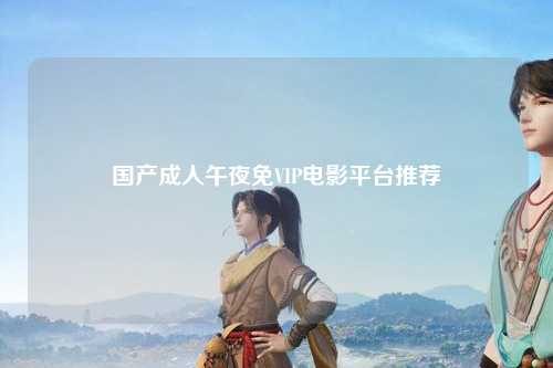 国产成人午夜免VIP电影平台推荐