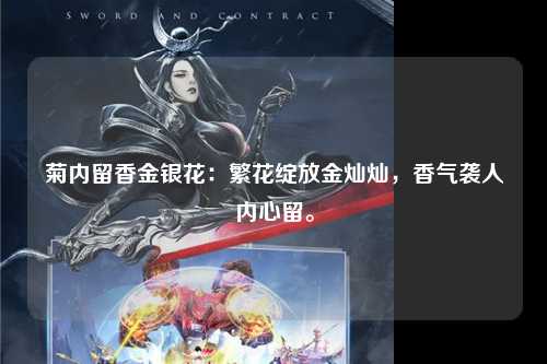 菊内留香金银花：繁花绽放金灿灿，香气袭人内心留。