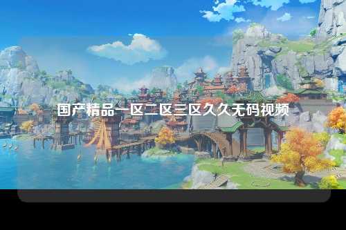 国产精品一区二区三区久久无码视频