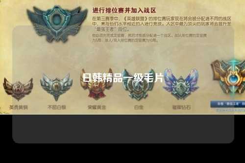 日韩精品一级毛片