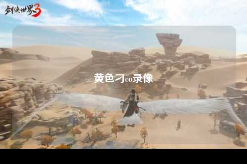 黄色刁co录像