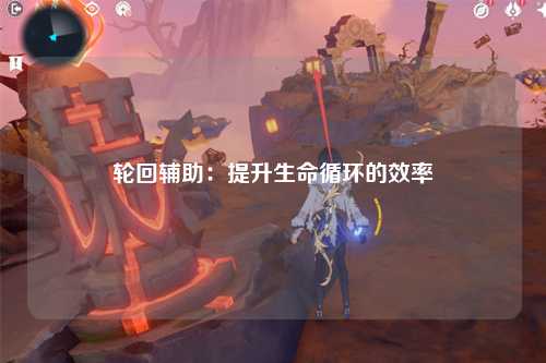 轮回辅助：提升生命循环的效率