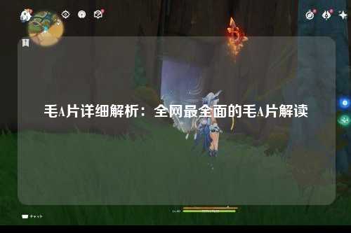 毛A片详细解析：全网最全面的毛A片解读