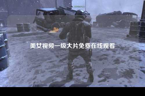 美女视频一级大片免费在线观看