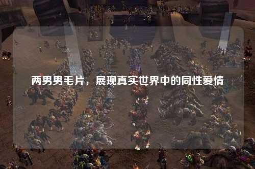 两男男毛片，展现真实世界中的同性爱情